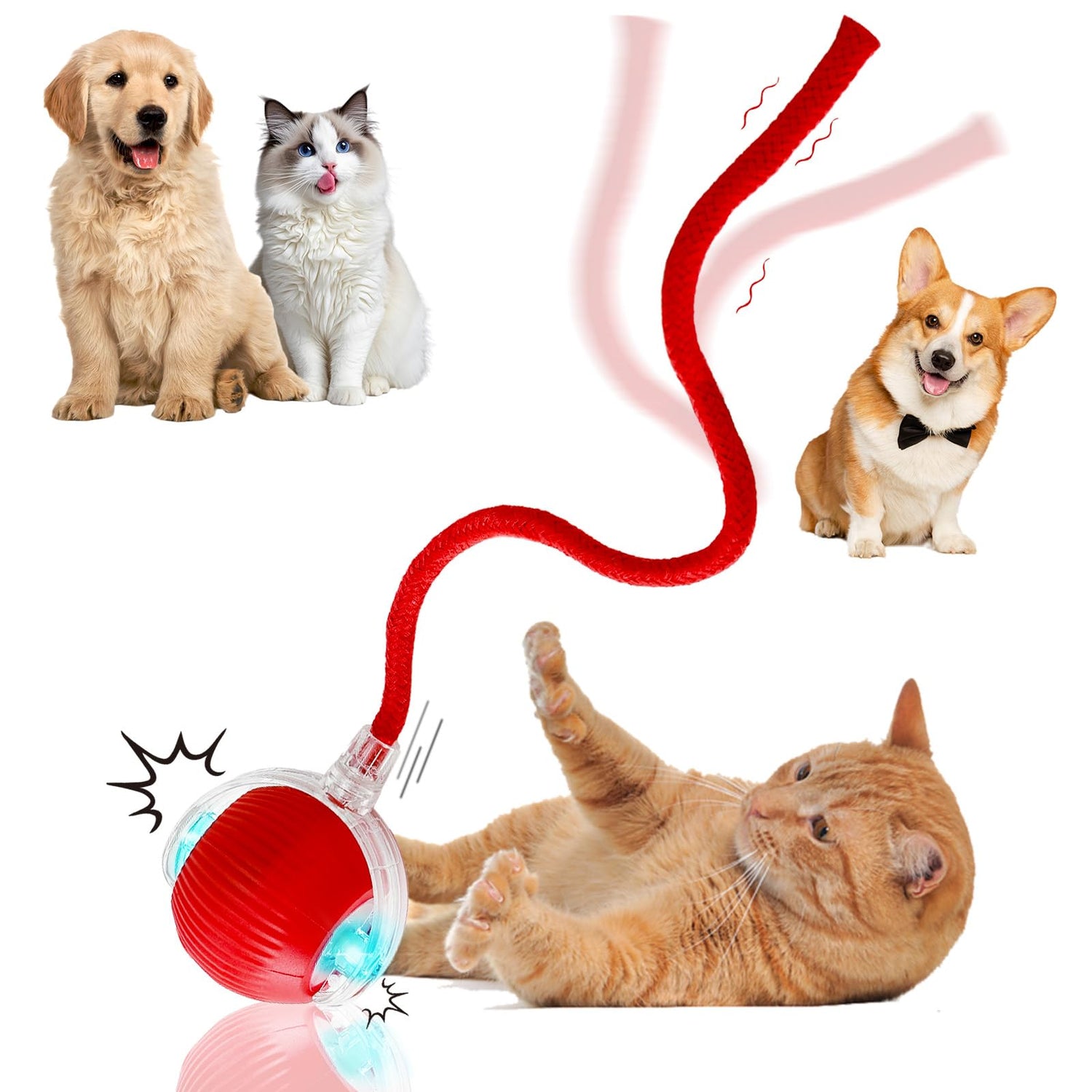 Pet Toys