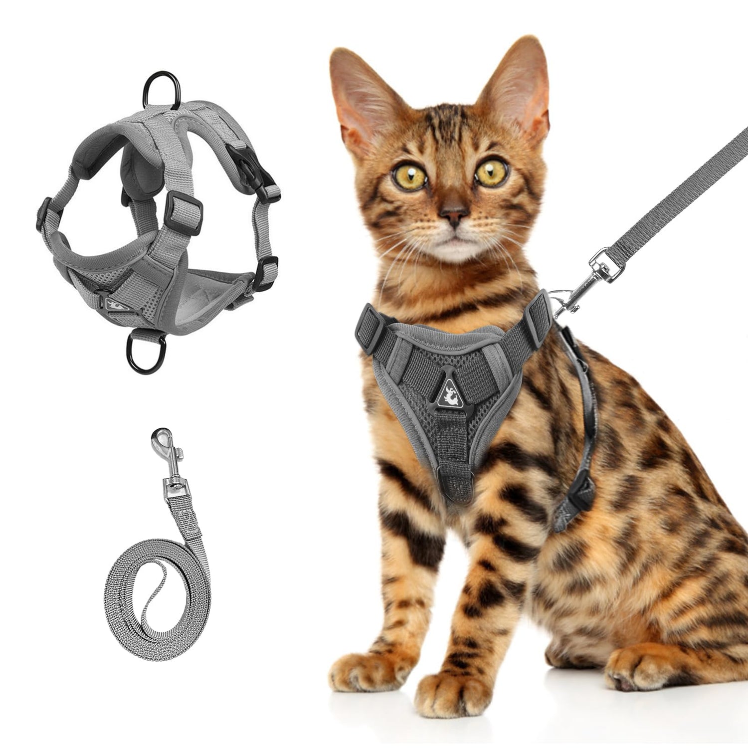 Cat Harness & Collars