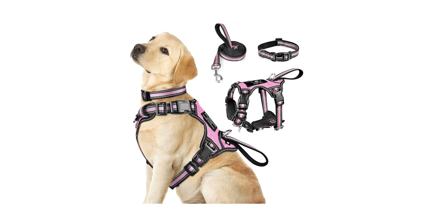 Dog Harness and Collars