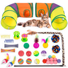 Cat Toys